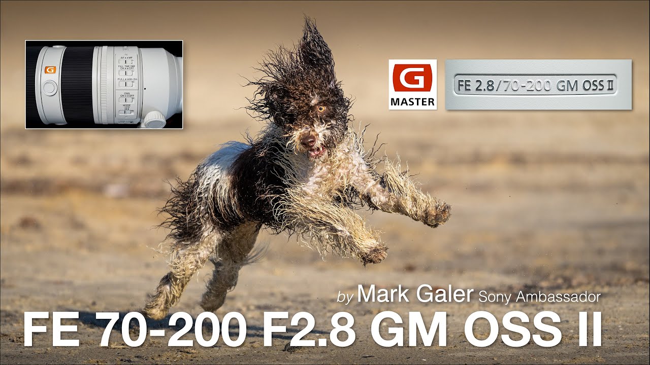 Sony FE 70-200 F2.8 GM OSS II Lens Review (Mark Galer)
