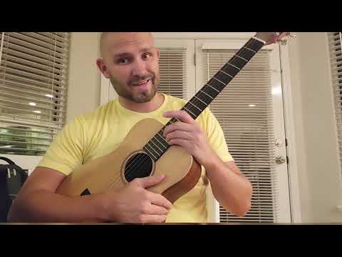 Little Martin LX1 Acoustic Guitar Review | Travel Guitar Review