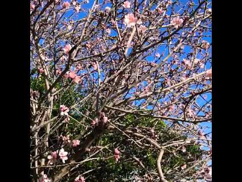 Ali Terme village, Sicily, Italy