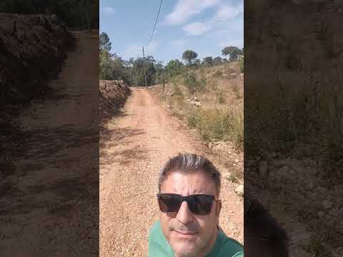 Acompanhamento Faixas de Gest&atilde;o de Combust&iacute;vel - Cernache 