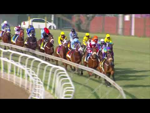 2023.05.27 Woolavington 2000 (RSA) - Rain In Holland