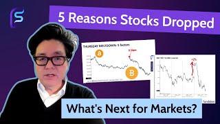 Tom Lee: 5 Reasons Behind Thursday’s Meltdown