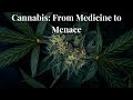How Did Cannabis Become the Most Controversial Plant?