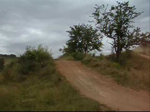 LOKALSPORT Bleiche Waldmeisterschaften Bleicherode