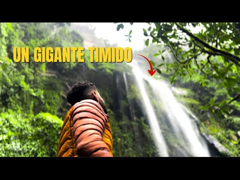 LA CASCADA QUE CASI NADIE VISITA: El Gigante Escondido de 590m en Colombia