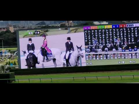 2022/10/16 東京競馬場② 秋華賞など