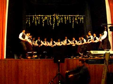 Folklorni Ansambl Bozur Leverkusen