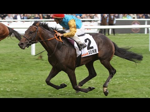 Galopper des Jahres Kandidat 3: Windstoß