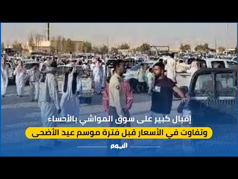 فيديو.. إقبال كبير على سوق المواشي بالأحساء