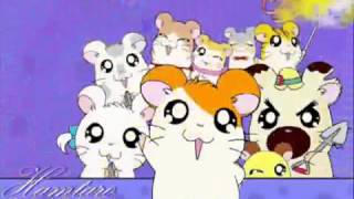 Download lagu Hamtaro Opening Song Indonesia mp3 Download lagu Hamtaro Opening Song Indonesia mp3