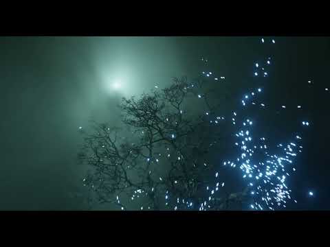 Magic Forest Blender Motion Graphics