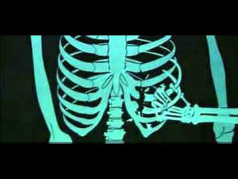 DRAGONLAND 184-"BRUCE LEE VIVE ANCORA" (BRUCE LE STRIKES BACK, 1980/81)... La mmmerda!