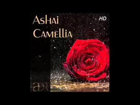 Ashai   Camellia   Inito Remix - Epic Trance.