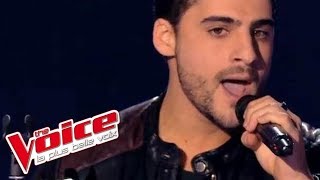 The Script – The Man Who Can&#39;t Be Moved | Jérémy Ichou | The Voice France 2014 | Blind Audition