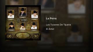 LA PERRA - LOS TUCANES DE TIJUANA