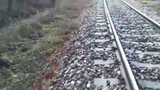 Proljeće u decembru.