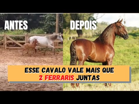 Comandante Elfar - O atual Campeão dos Campeões Nacional de Marcha