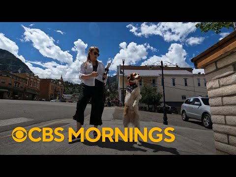 "Kindness 101": Dexter the dog overcomes tragedy to inspire many