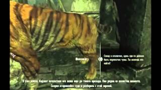 TESV. Skyrim. Фауна Эльсвейра