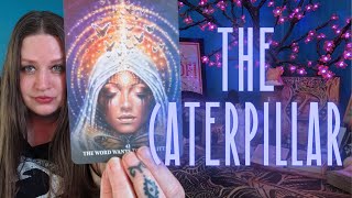 SAGITTARIUS♐THE CURE🐛🦋BONUS WILD CARD READ🃏YOUR TRANSFORMATION🔑