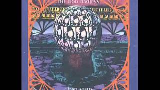 The Boo Radleys - Wish I Was Skinny (with lyrics)