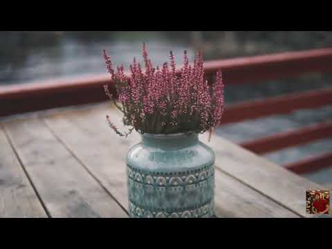 Milo S, OSA Feat. Mari - Just A Fool (The Distance & Riddick Remix)