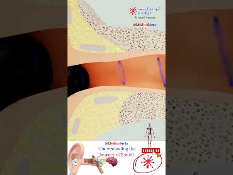 Journey of Sound in 15 seconds 👂 Sound waves into electricity ⚡ Medical arts official 🔊