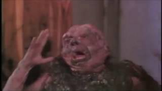 The Toxic Avenger (1984) Video