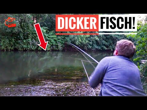 EWALD TICKT AUS 😡: Endlich kommt der WALLER-BISS am kleinen Fluss - und dann sowas 😳!