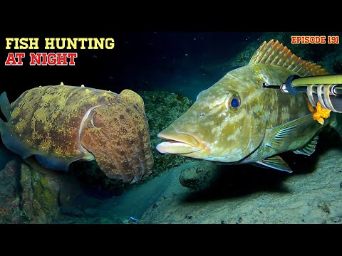 NIGHT SPEARFISHING EPISODE 191 | FISH HUNTING AT NIG 
