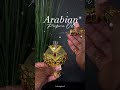 The best Arabic Perfume oil from Amazon! #perfumeoil