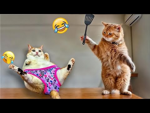 You Laugh You Lose😹Funniest Dogs and Cats 2024😻🐶