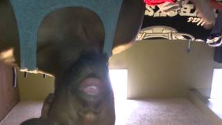 Its going down tonight, sawsmooth&#39;s version