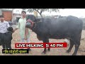 First Timer 16 किलो 960ग्राम ये है ईमानदार पशुपा�