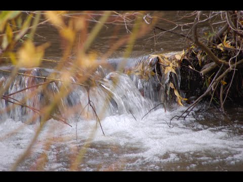 Claire Willis: Grief  An Invitation to Grow