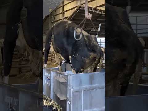 Farm  If you’d like to see more videos like this, please subscribe!🙏