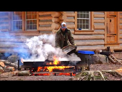 Maple Syrup, Wolf at the Cabin, Tree Felling, & Family Time! / Ep113 / Outsider Cabin Build