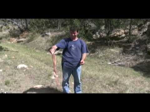 YouTube Video ZITHncaeDBM