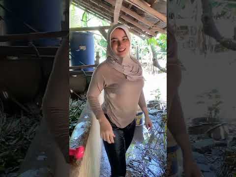 Hijabers Janda montok Basah-basahan #viral #stw 