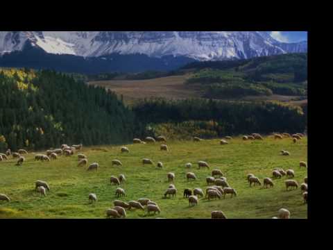 J. S. Bach: Cantata Nº 208, 'Sheep May Safely Graze', BWV 208