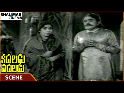 Kadaladu Vadaladu Movie || Dhulipala Apologized To His Wife For Suspecting || NTR || Shalimarcinema