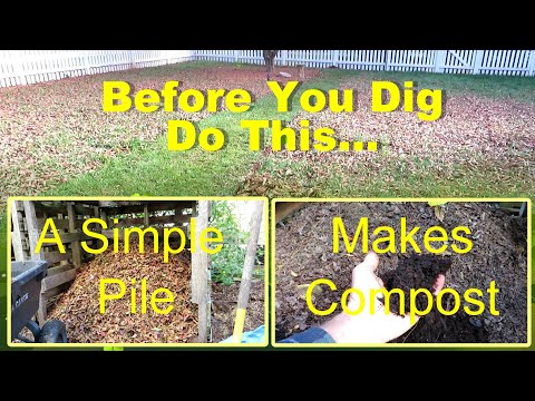 My First Garden Compost Pile: Just Make a Pile of Leaves and Grass as Your  1st Step
