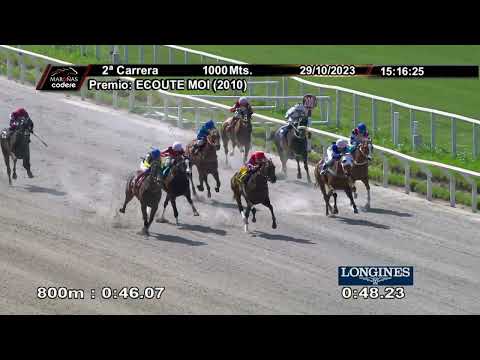 231029 c02 LIVING LEGEND (BRZ)