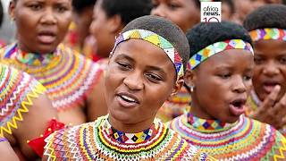 South Africa celebrates annual Zulu Reed Dance ceremony with thousands of participants