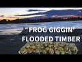 Frog Giggin' Flooded Timber (Mississippi River)