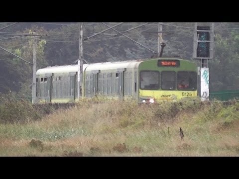 IE 8100 Class Dart Train number 8125 - Booterstown Coast, Dublin