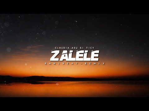 DJ FUNKY NIGHT !! Rawi Beat - Zalele - ( New Remix )