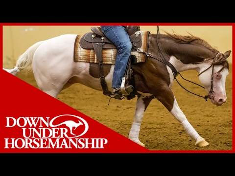 Clinton Anderson Presents: Titan a Legend in the Making, Lesson 9, Part 2 - Downunder Horsemanship