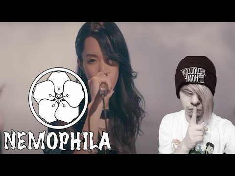 German Emo FIRST TIME Hearing Nemophila - Adabana (REACTION)