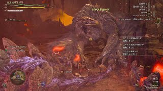 Monster Hunter Wilds_片手1乙